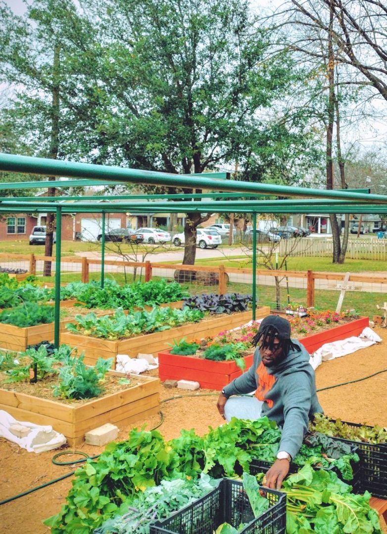 Meet Quincy Bradley Master Gardener SHOUTOUT DFW