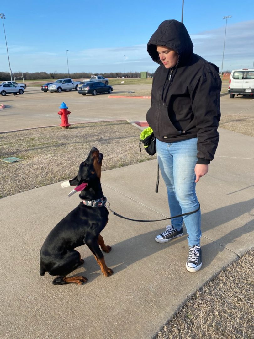 Meet Sonia Doak | Dog Trainer - SHOUTOUT DFW