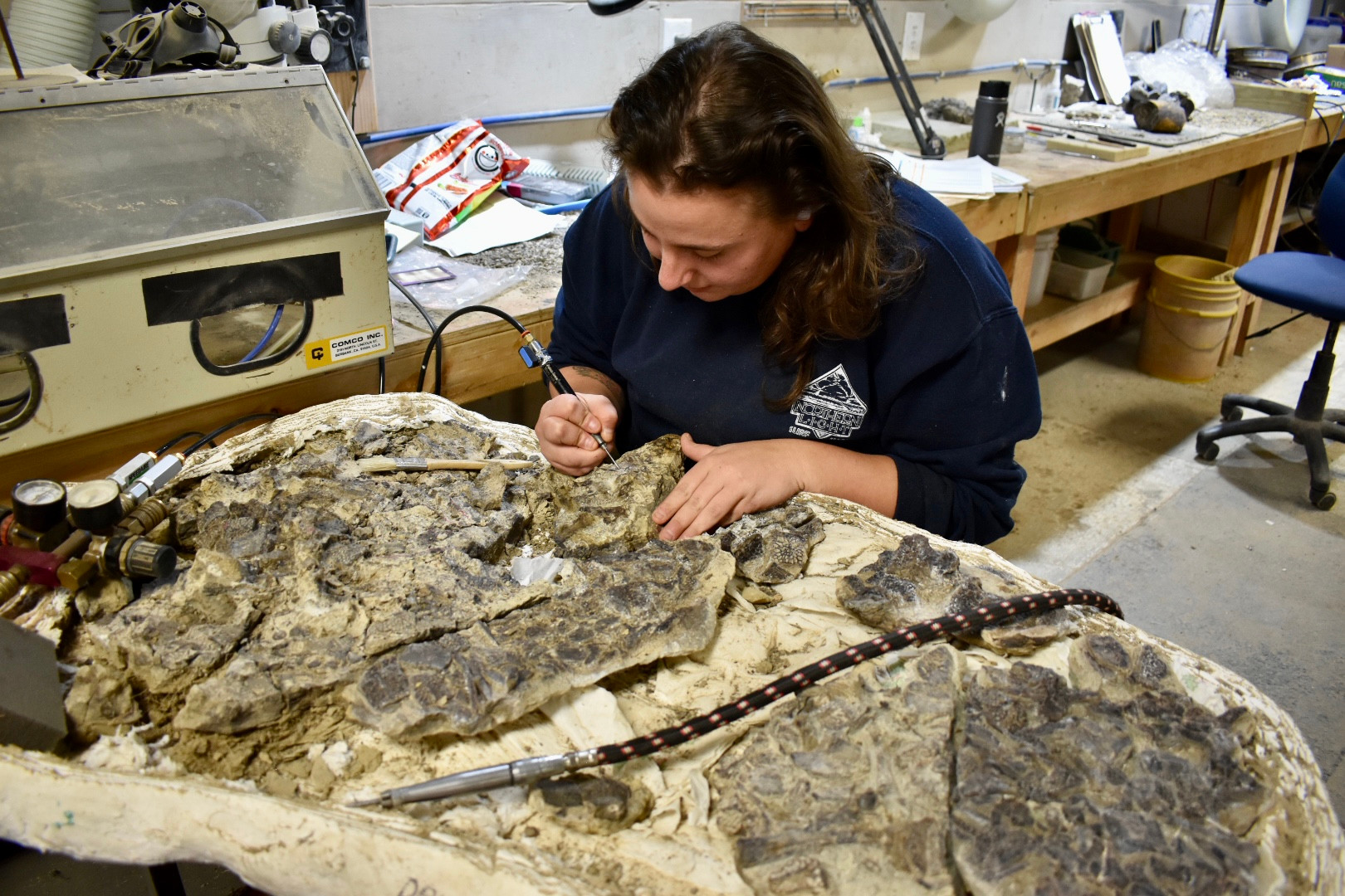 Meet Andre LuJan | Paleontologist & Museum Director - SHOUTOUT DFW